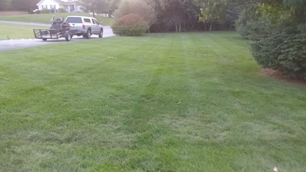 Professional landscaping services experts serving House Springs, MO - Relentless Lawn And Landscaping