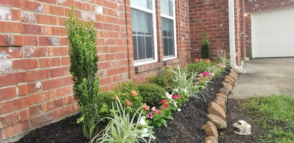 Local lawn mowing service in Beaumont, TX - Reli-a-lawn and Landscaping