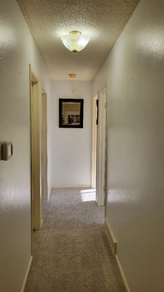 Professional landscape design experts serving Cheyenne, WY - Reliable DIY Solutions