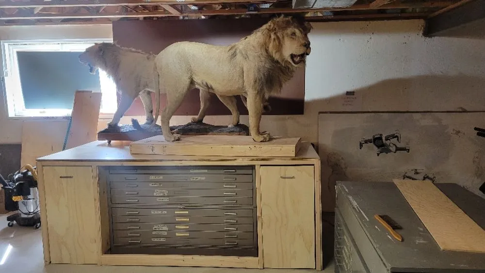 Trusted yard cleanup service in Cheyenne, WY - Reliable DIY Solutions