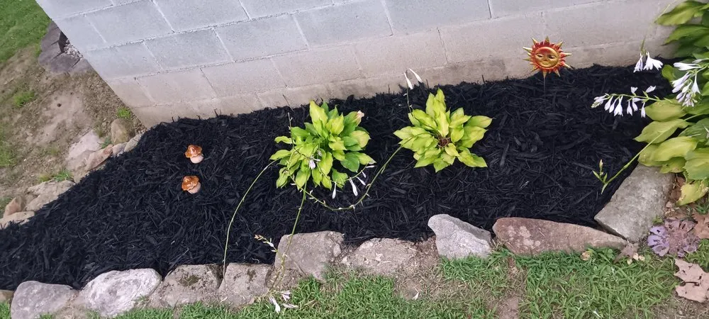 Local lawn mowing service in Lexington, NC - Reliable Handyman