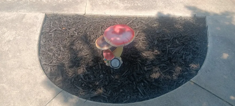 Affordable landscaping services for homes across Lexington, NC - Reliable Handyman