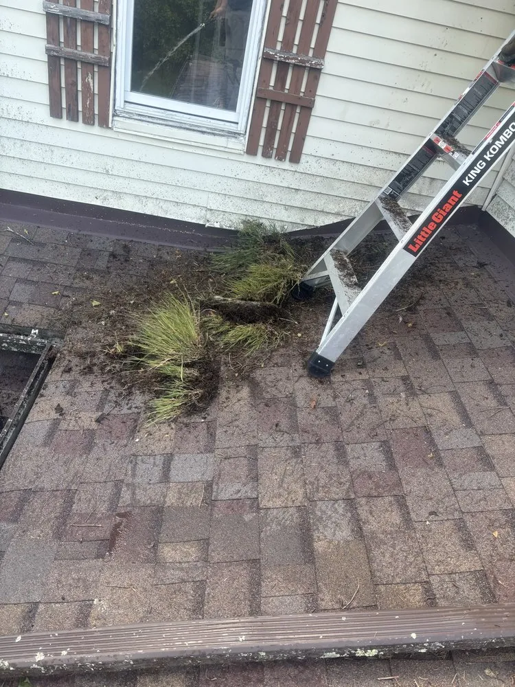 Local yard cleanup service in Elkins, WV - Reliable Home Enhancements