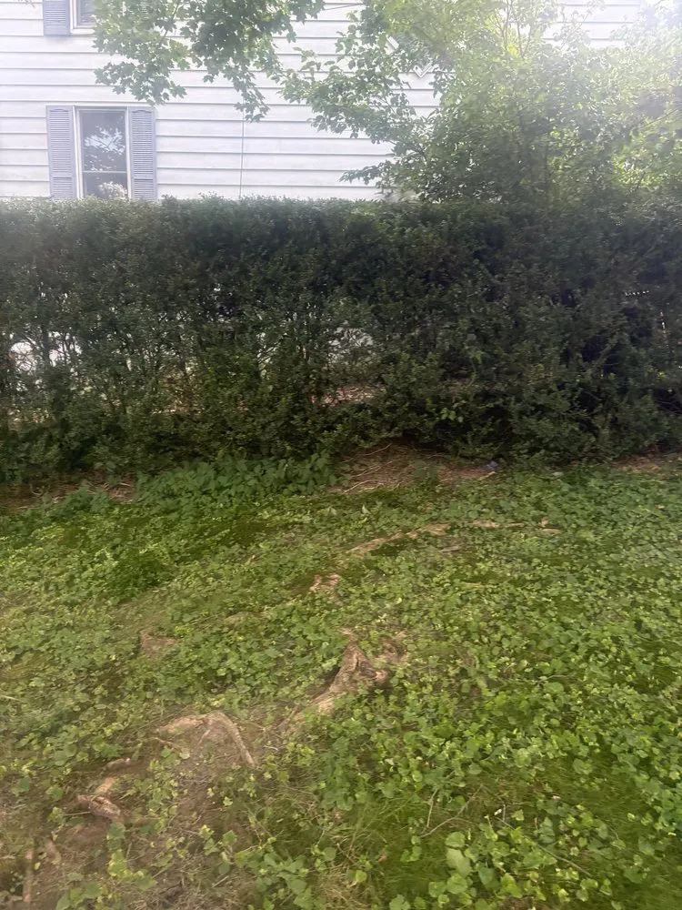 Top-rated outdoor landscaping in Elkins, WV - Reliable Home Enhancements