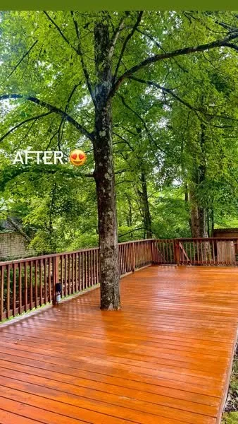 Trusted landscaping services experts serving Elkins, WV - Reliable Home Enhancements