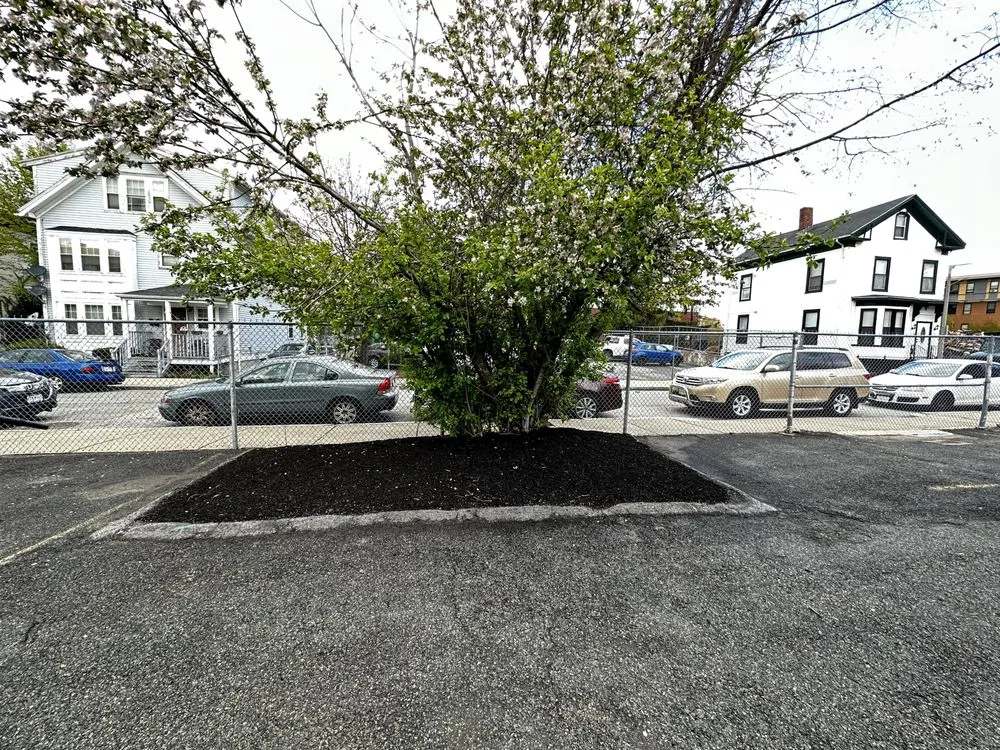 Local yard maintenance in Boston, MA - Reliable Janitorial Services