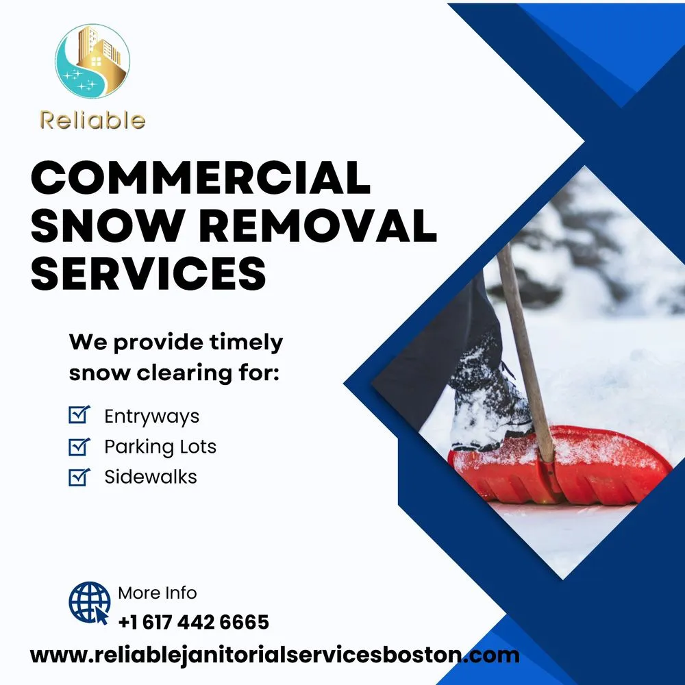 Trusted yard cleanup service in Boston, MA - Reliable Janitorial Services