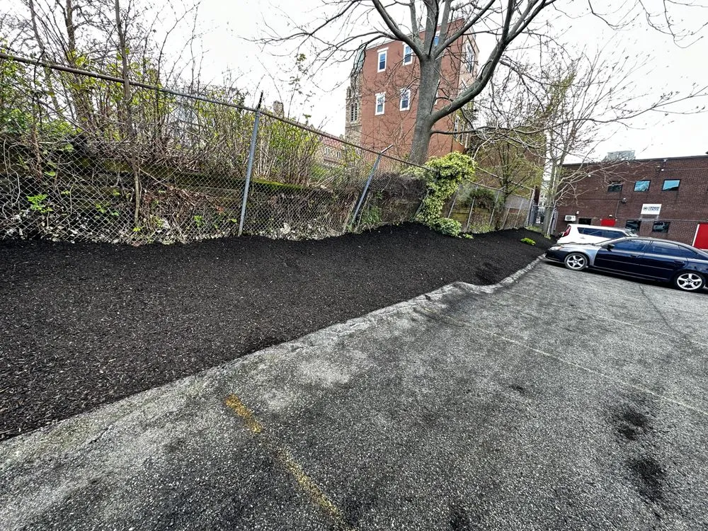 Custom yard maintenance for year-round maintenance in Boston, MA by Reliable Janitorial Services