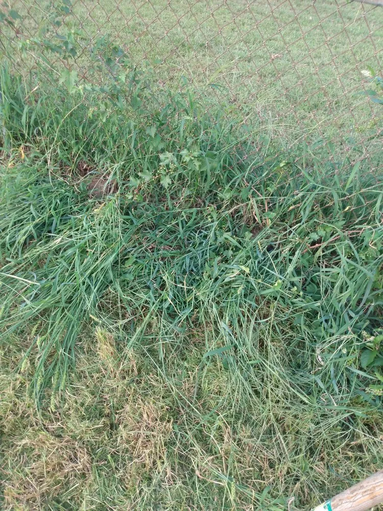 Local outdoor landscaping near you in West Deptford, NJ by Reliable Kutz Lawncare