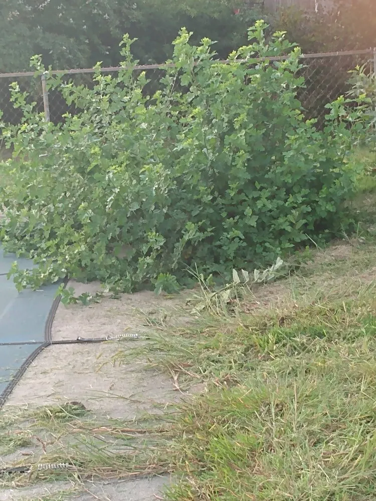 Trusted landscaping services with custom design in West Deptford, NJ by Reliable Kutz Lawncare