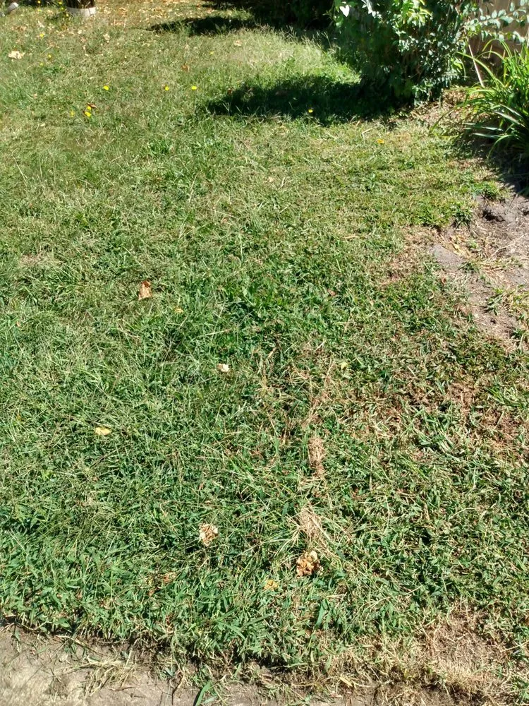 Local landscape design for homes in West Deptford, NJ by Reliable Kutz Lawncare