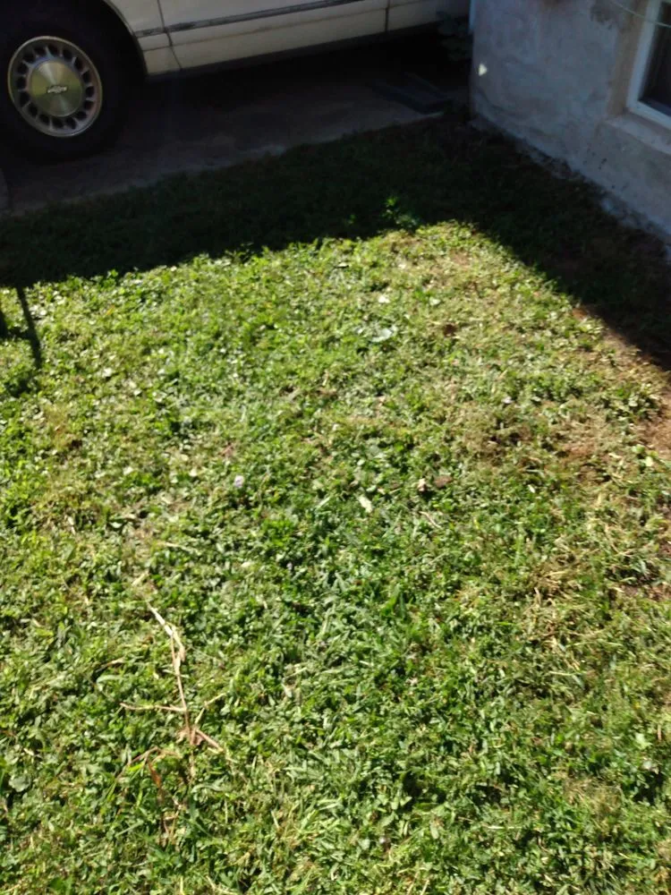 Local landscape installation in West Deptford, NJ - Reliable Kutz Lawncare