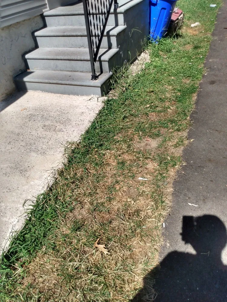 Expert residential landscaping in West Deptford, NJ - Reliable Kutz Lawncare