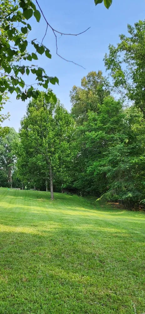 Expert yard maintenance for year-round maintenance across Buchanan, VA - Reliable Land Services