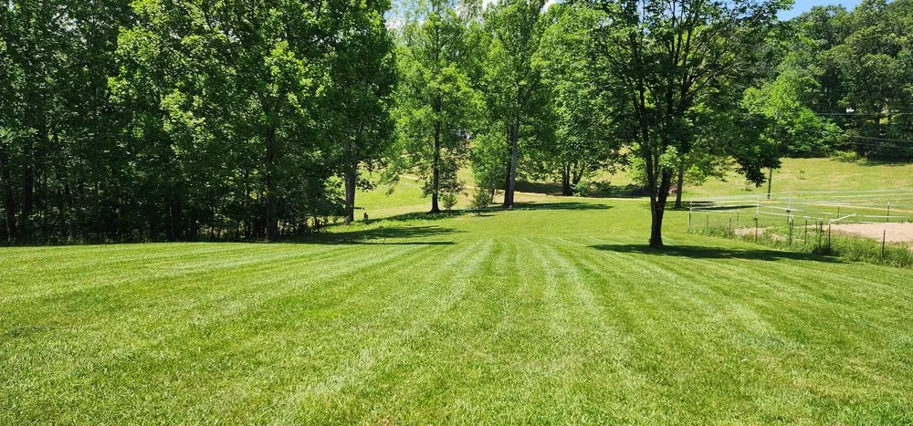 Custom landscaping services with custom design in Buchanan, VA by Reliable Land Services