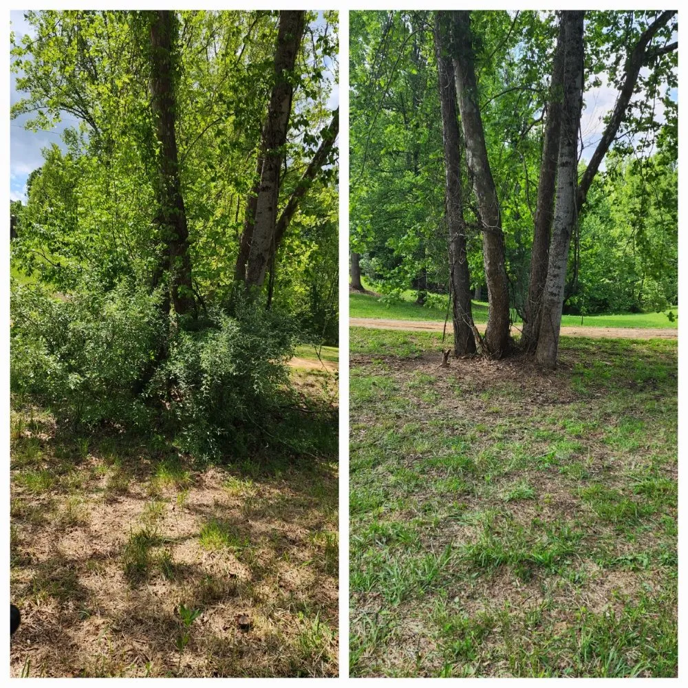 Top-rated yard maintenance for year-round maintenance in Buchanan, VA by Reliable Land Services