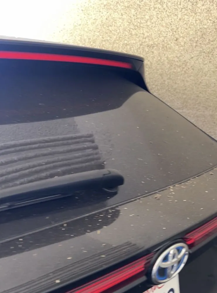 Reliable lawn care service experts serving Buena Park, CA - Reliable Landscape & Maintenance