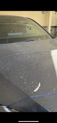 Reliable Landscape & Maintenance Logo