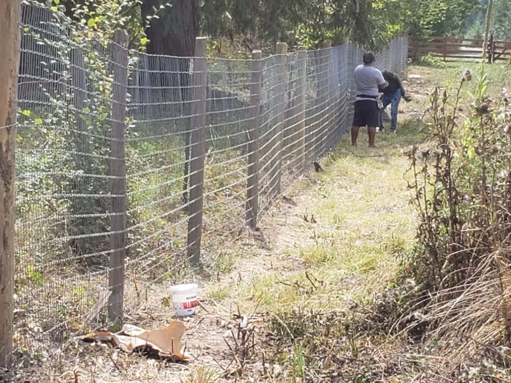 Top-rated landscape installation experts serving Centralia, WA - Reliable Landscape & Roofing