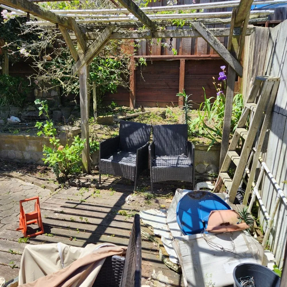 Expert yard cleanup service in San Francisco, CA - Reliable Landscape