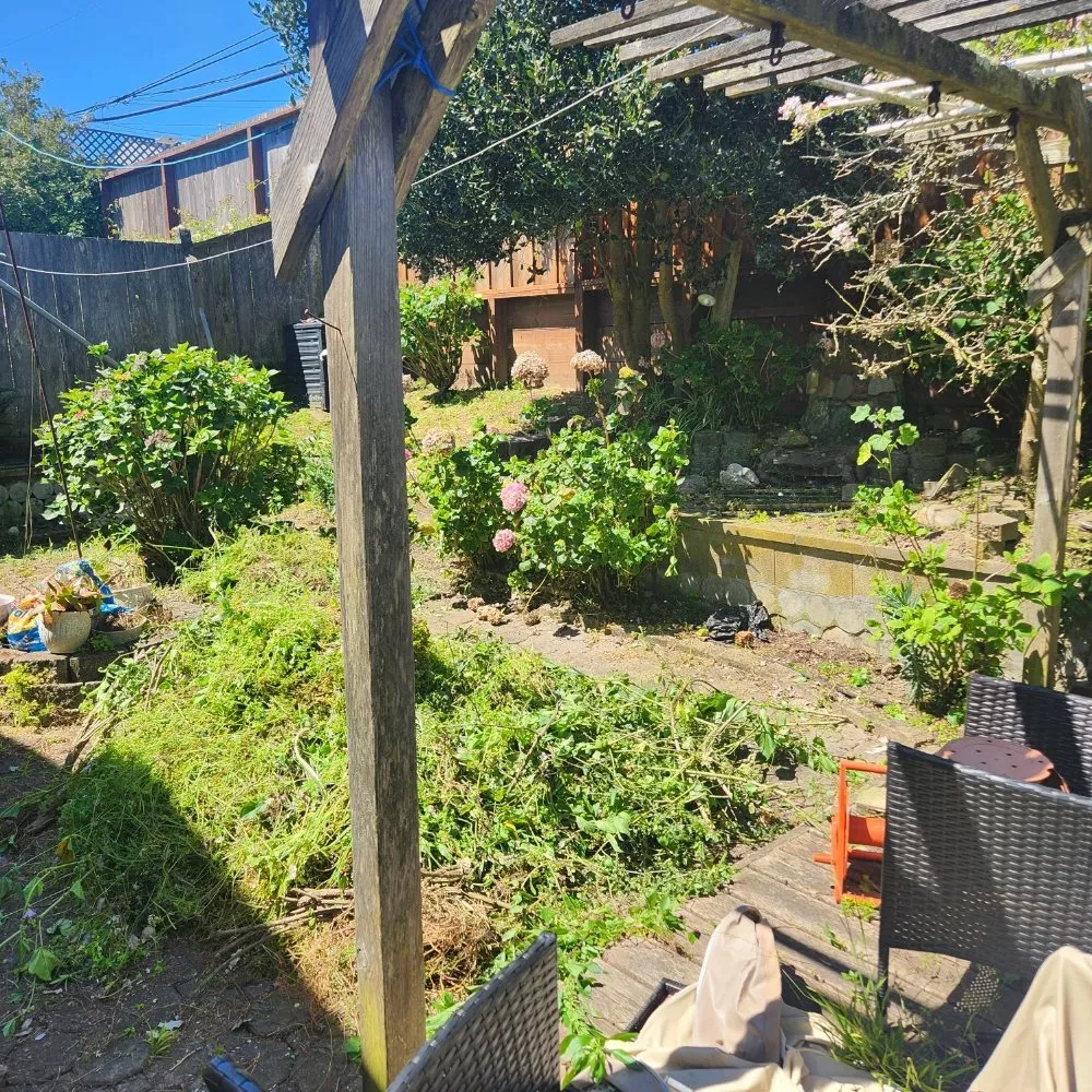 Expert yard cleanup service experts serving San Francisco, CA - Reliable Landscape
