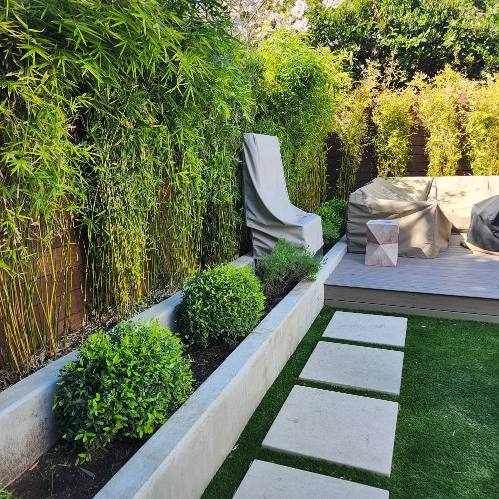Expert landscaping services for outdoor upgrades in San Francisco, CA by Reliable Landscape