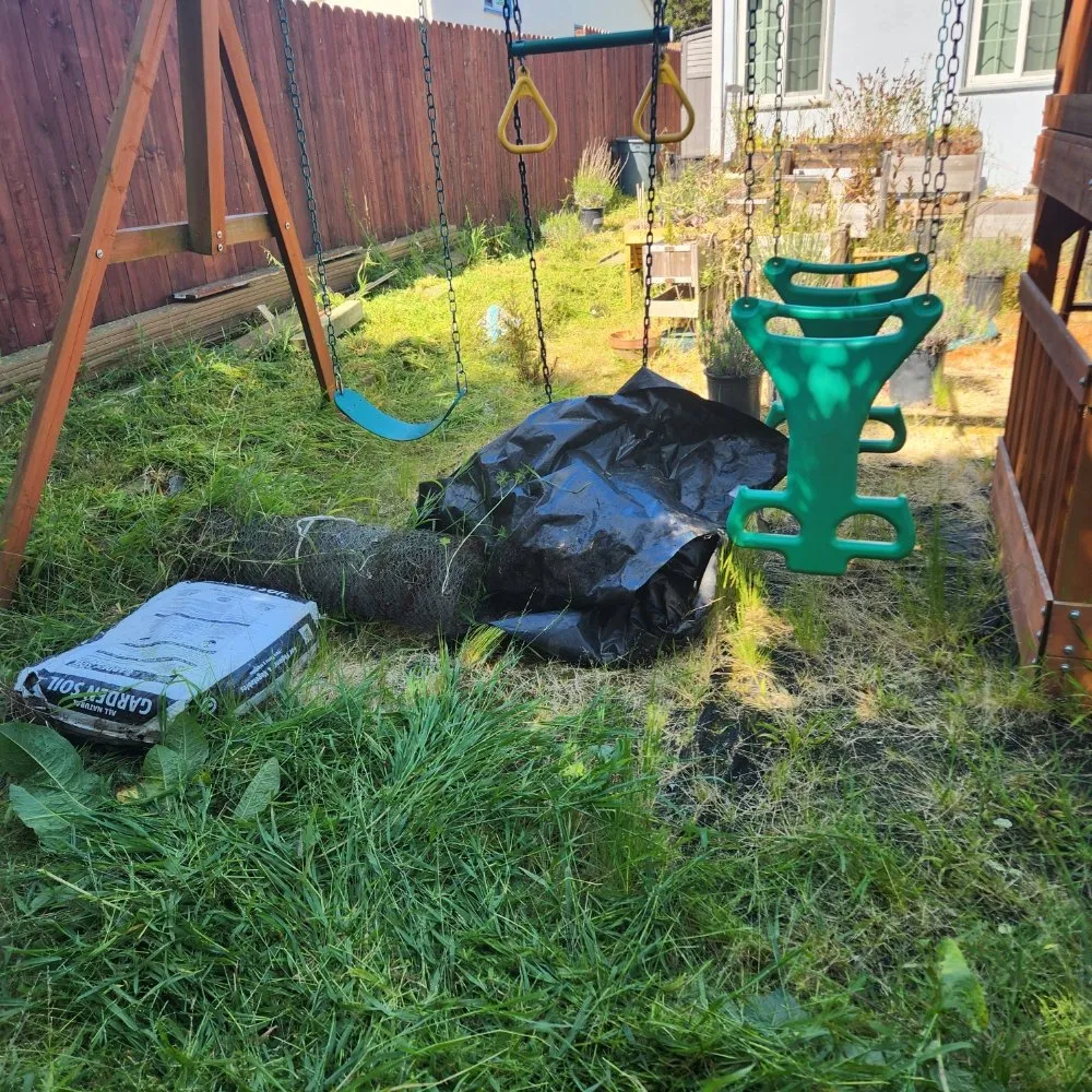 Top-rated yard cleanup service experts serving San Francisco, CA - Reliable Landscape