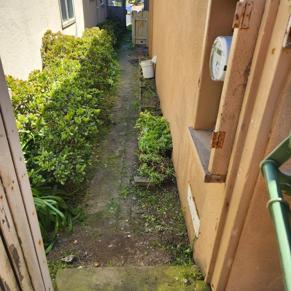 Expert lawn mowing service for year-round maintenance across San Francisco, CA - Reliable Landscape