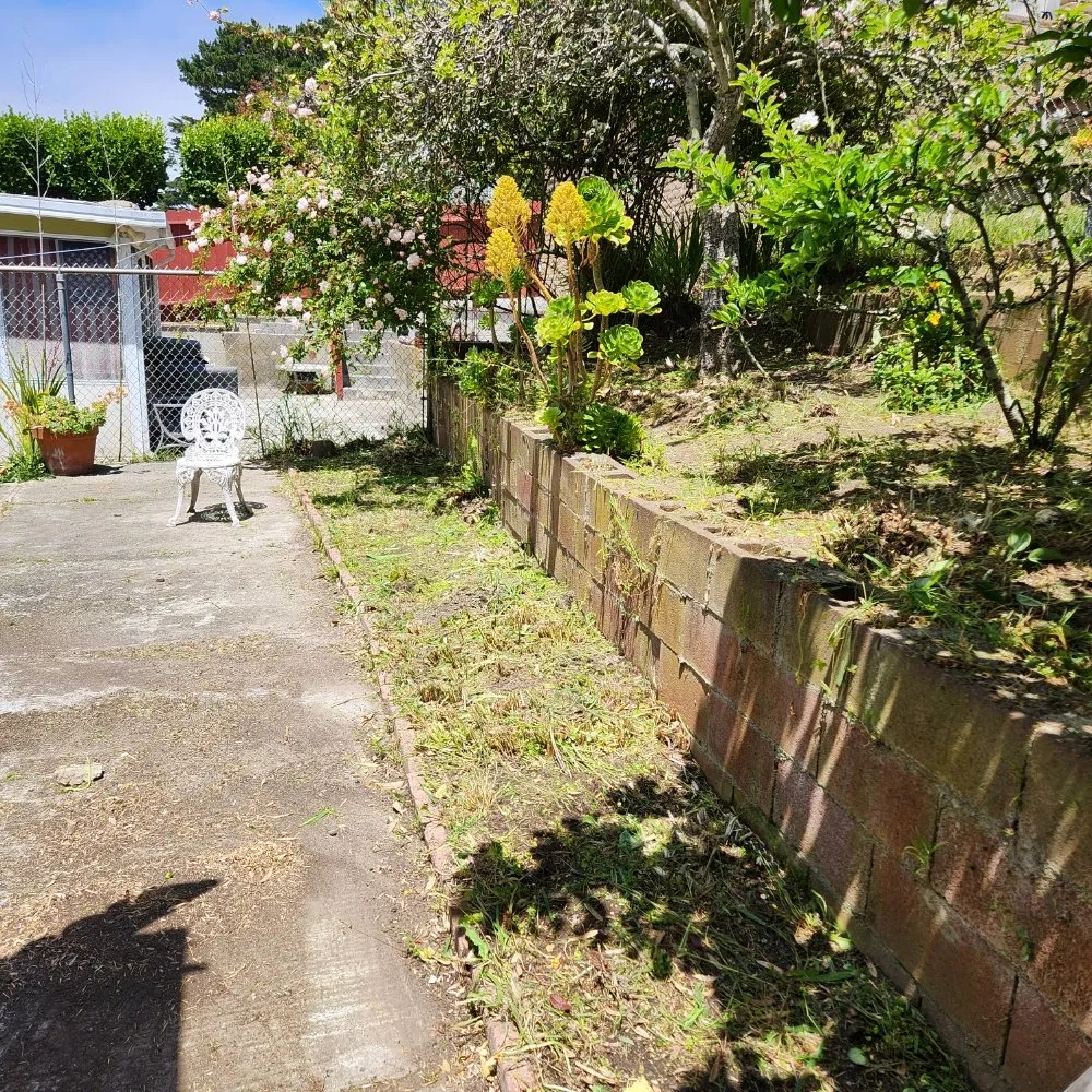 Affordable outdoor landscaping with custom design in San Francisco, CA by Reliable Landscape