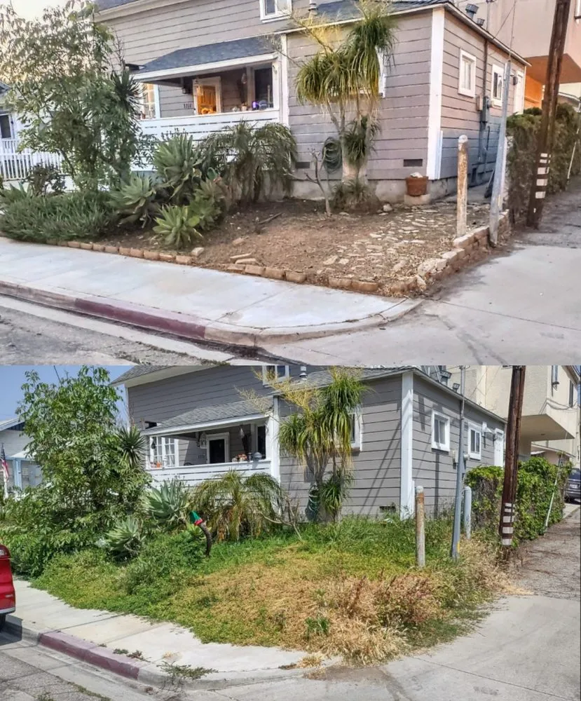 Professional outdoor landscaping in Long Beach, CA by Reliable Landscape Service