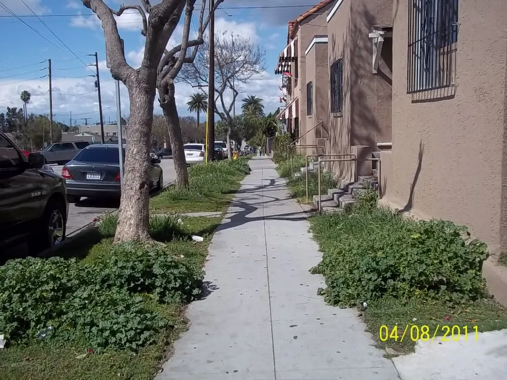 Affordable landscape installation for outdoor upgrades across Long Beach, CA - Reliable Landscape Service