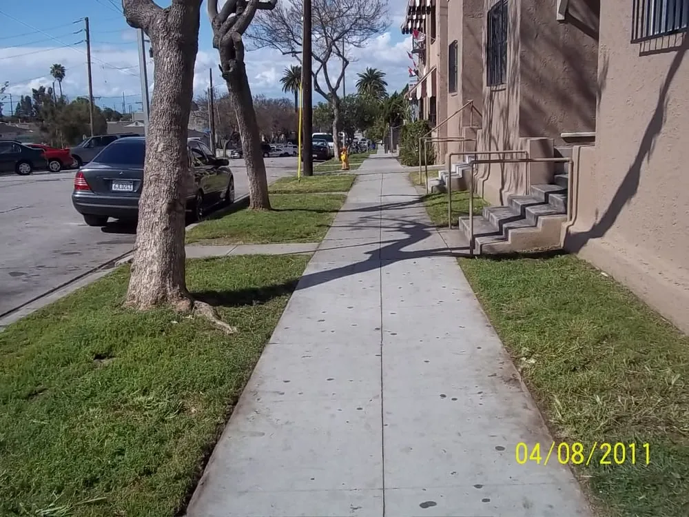 Professional landscaping services in Long Beach, CA by Reliable Landscape Service