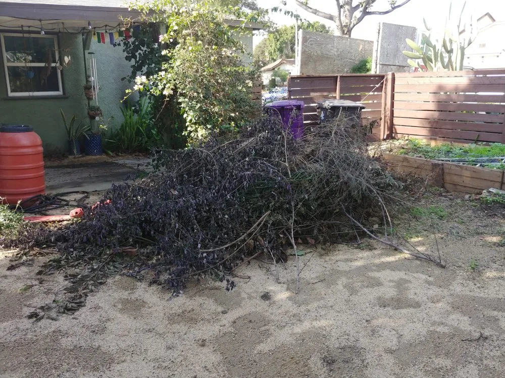 Custom lawn mowing service for homes across Long Beach, CA - Reliable Landscape Service