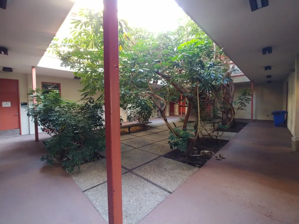 Local lawn care service in Long Beach, CA by Reliable Landscape Service