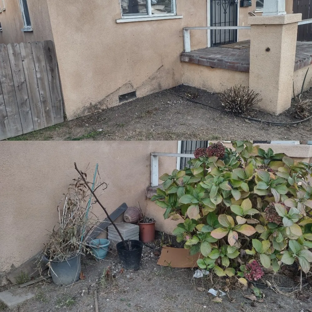 Reliable landscape design in Long Beach, CA - Reliable Landscape Service