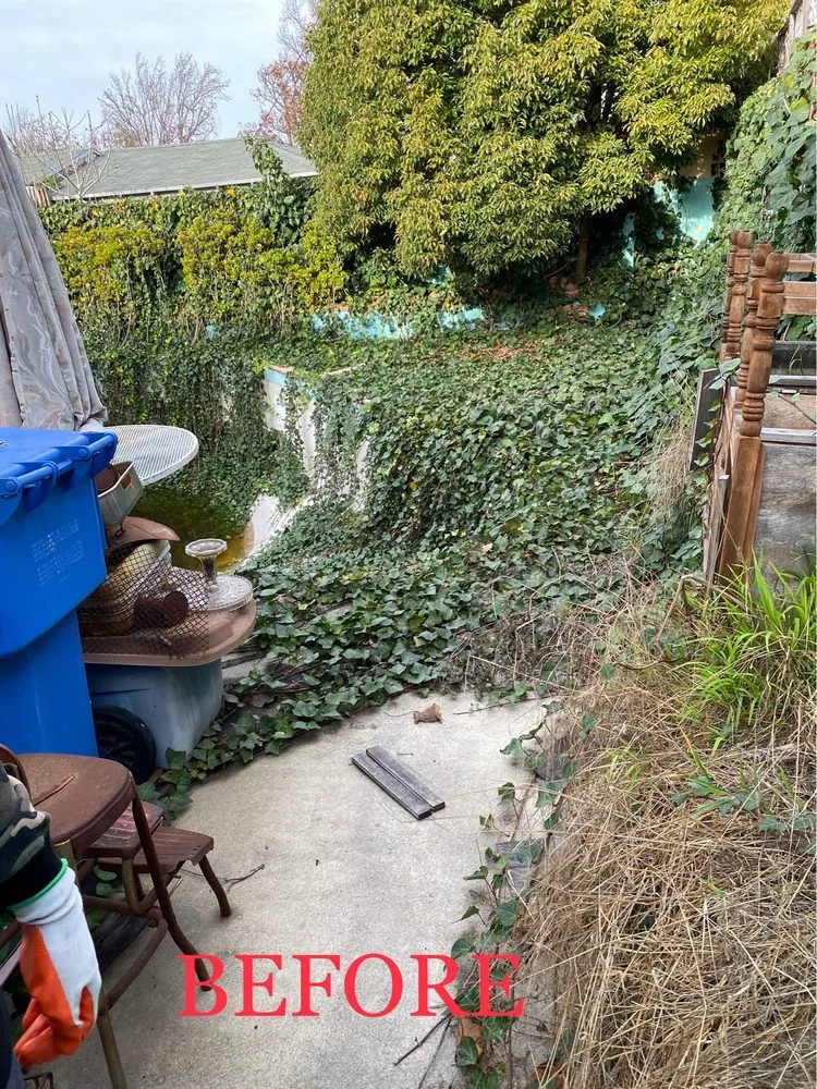 Trusted yard cleanup service experts serving Long Beach, CA - Reliable Landscape Service