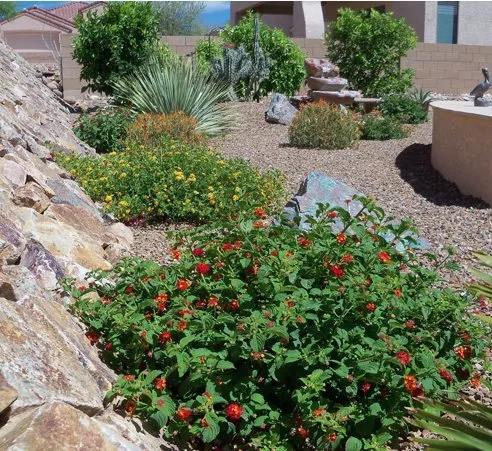 Top-rated garden landscaping in Tucson, AZ by Reliable Landscape Services