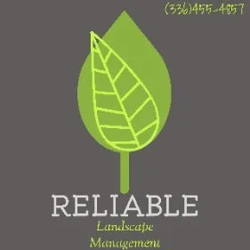 Affordable landscape installation for outdoor upgrades across Greensboro, NC - Reliable Landscape’s Management