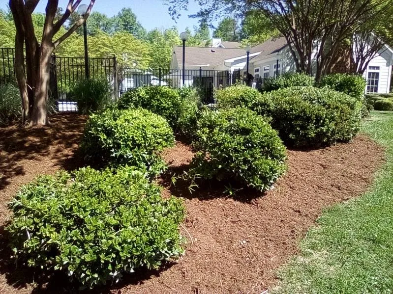 Trusted landscape installation in Greensboro, NC - Reliable Landscape’s Management