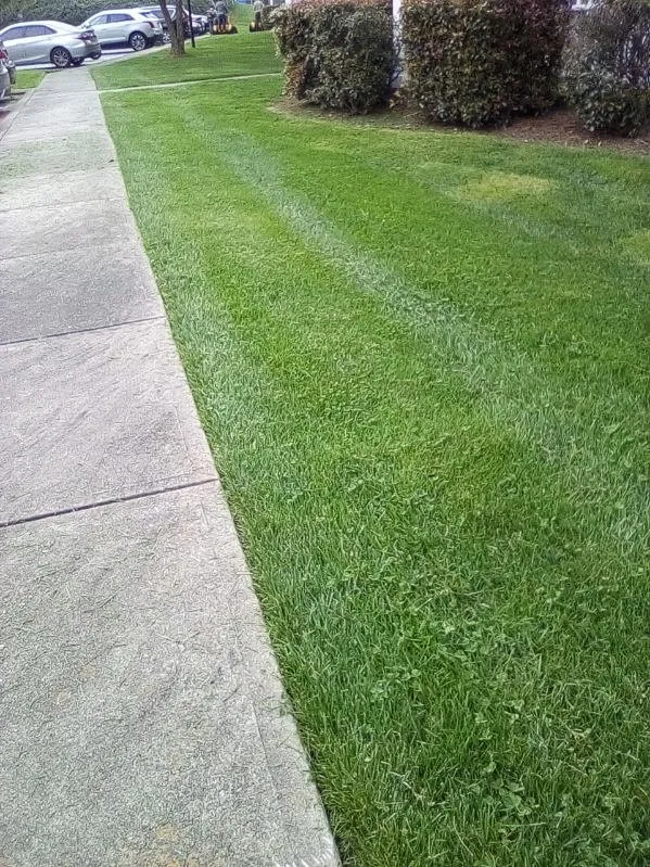 Reliable landscape installation for residential properties in Greensboro, NC by Reliable Landscape’s Management