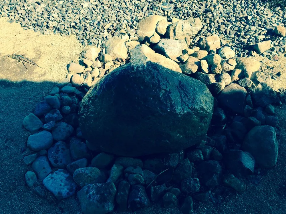 Expert landscaping services experts serving Reno, NV - Reliable Landscaping Care