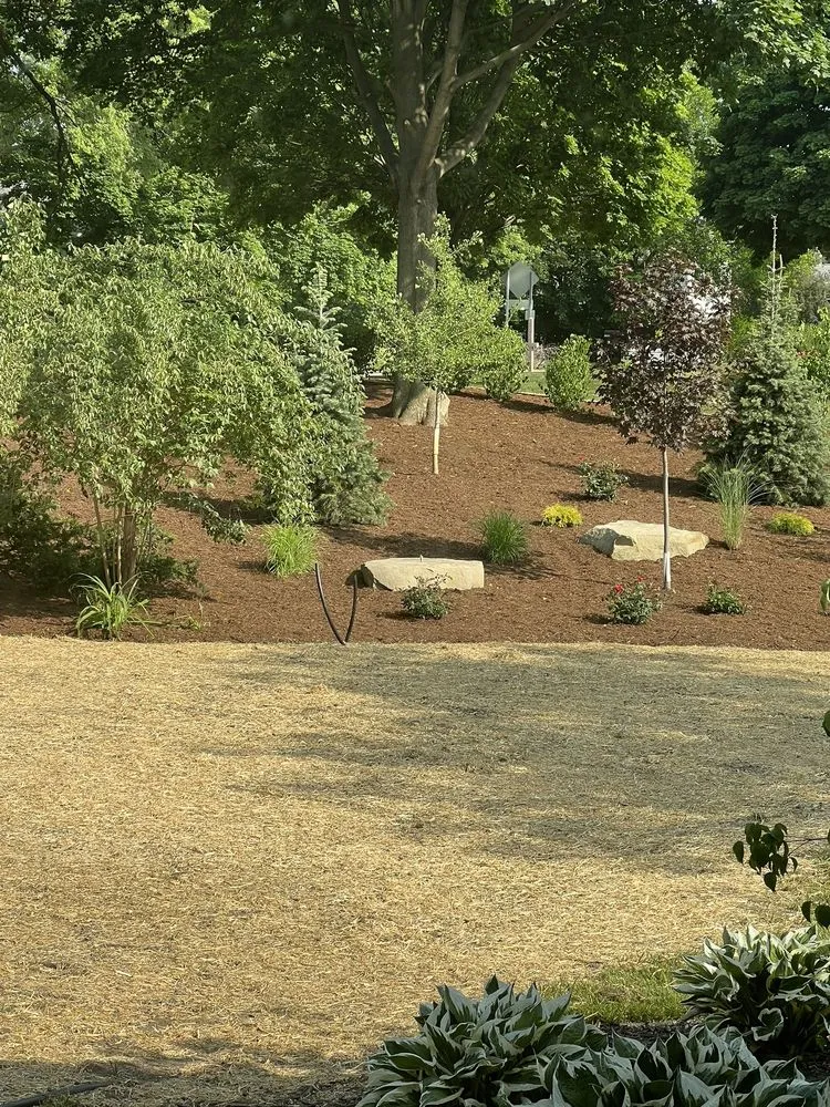 Reliable landscaping services near you across Canton, MI - Reliable Landscaping Inc