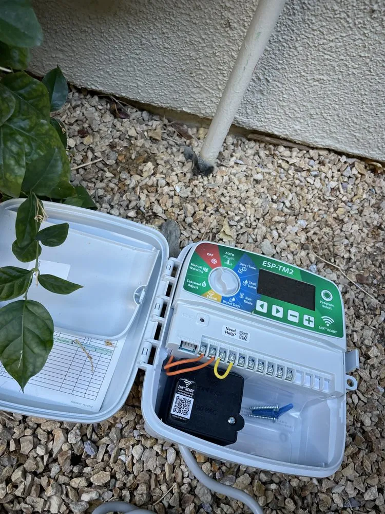 Custom yard cleanup service in Indio, CA - Reliable Landscaping