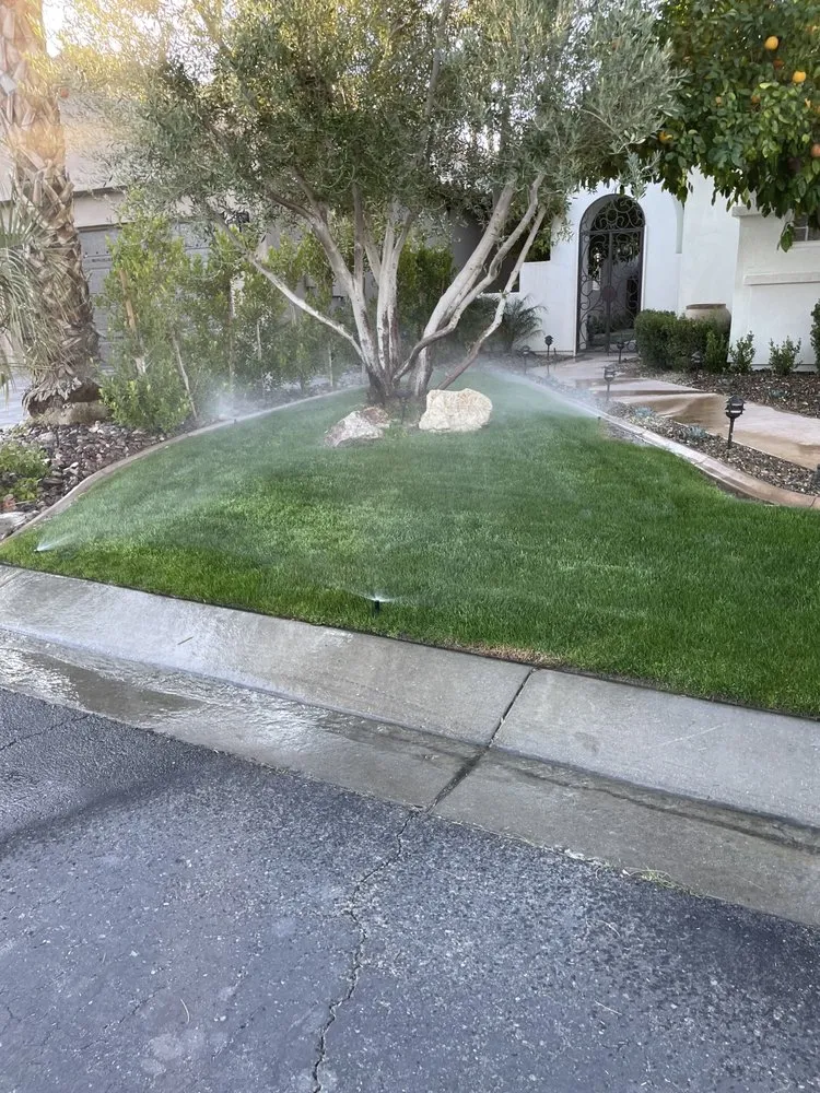 Custom outdoor landscaping for year-round maintenance across Indio, CA - Reliable Landscaping