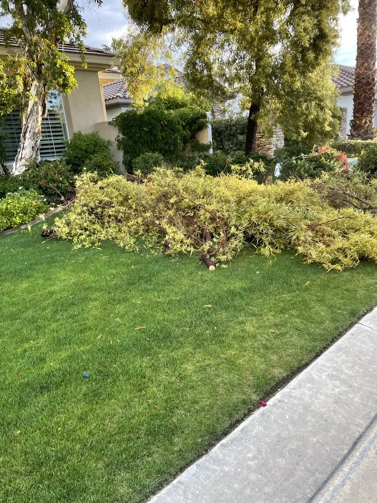 Reliable residential landscaping experts serving Indio, CA - Reliable Landscaping
