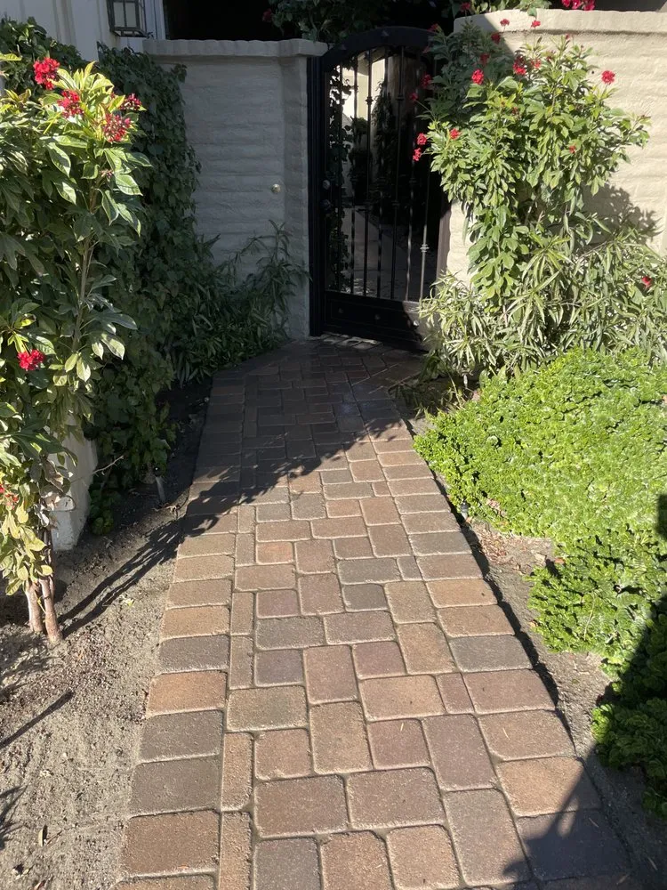 Professional outdoor landscaping with custom design across Indio, CA - Reliable Landscaping