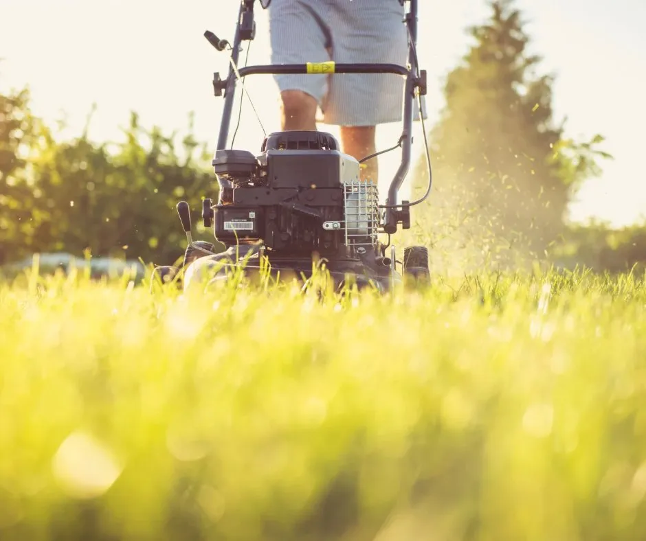 Custom garden landscaping experts serving Iron Station, NC - Reliable Lawn & Outdoor Services