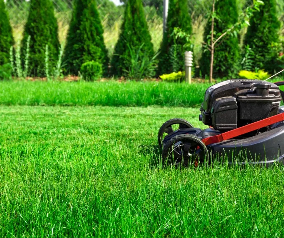 Custom outdoor landscaping in Iron Station, NC - Reliable Lawn & Outdoor Services
