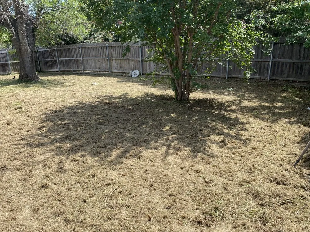 Reliable landscaping services for beautiful yards in Austin, TX by Reliable Lawn and Power Washing