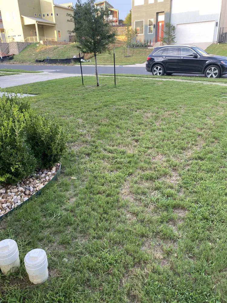 Reliable landscaping services for residential properties in Austin, TX by Reliable Lawn and Power Washing